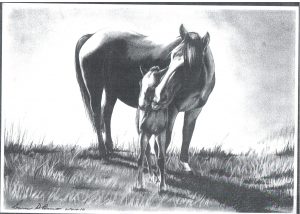 Desenho de cavalo 1 001