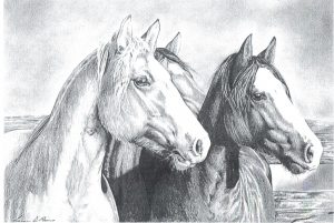 Desenho de cavalo 2 001