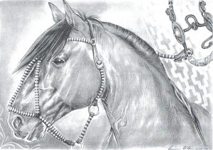 Desenho de cavalo 4 001