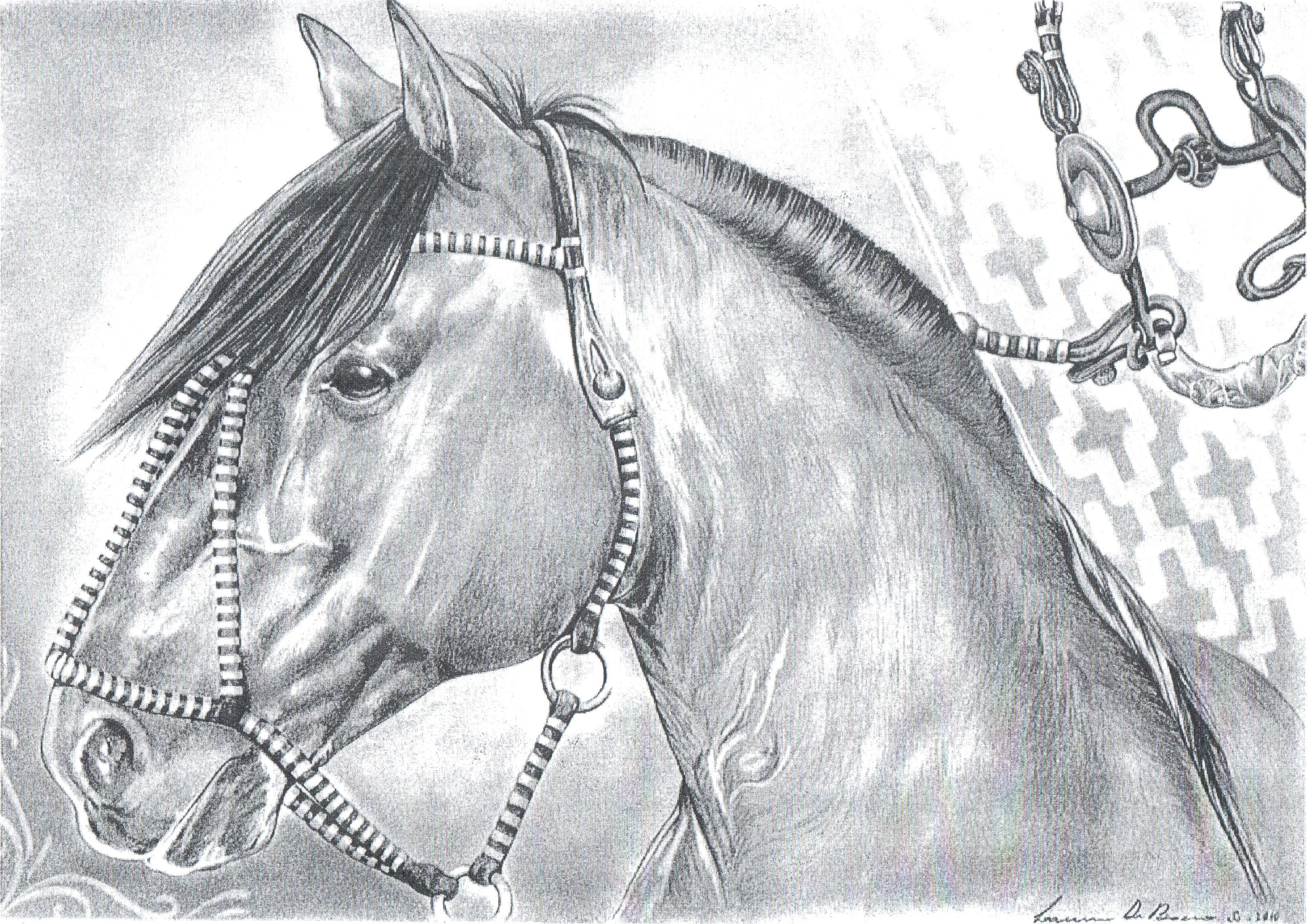 Desenhando um cavalo - Desenho rápido - Peão montado no cavalo - Drawing 