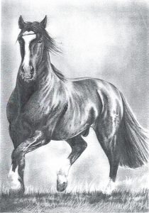 Desenho de cavalo 8 001